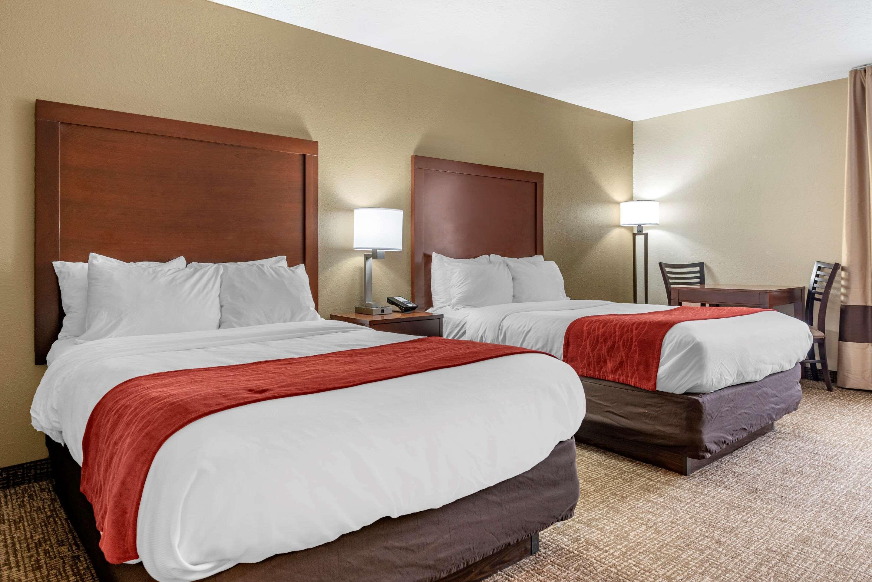 Comfort Inn & Suites Cincinnati Eastgate Εξωτερικό φωτογραφία