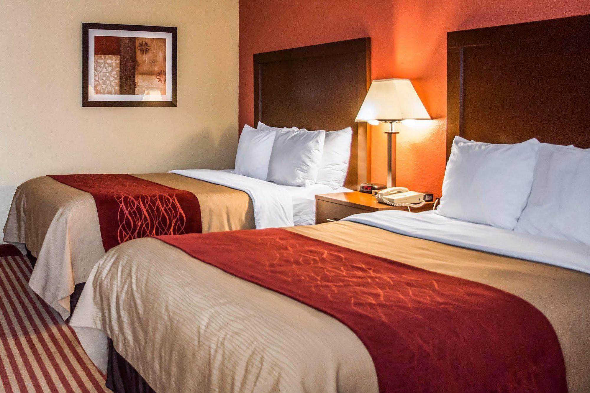 Comfort Inn & Suites Cincinnati Eastgate Εξωτερικό φωτογραφία